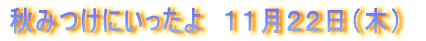 �H�݂��ɂ�������@�P�P���Q�Q���i�؁j